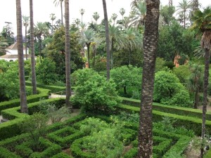 Seville Alcazar gardens